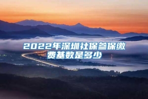 2022年深圳社保参保缴费基数是多少