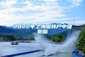 2022年上海居转户中级职称