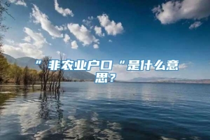 ”非农业户口“是什么意思？