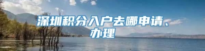 深圳积分入户去哪申请、办理