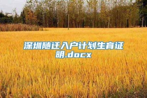 深圳随迁入户计划生育证明.docx