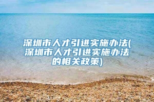 深圳市人才引进实施办法(深圳市人才引进实施办法的相关政策)