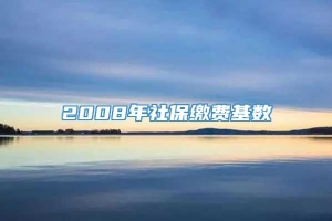 2008年社保缴费基数