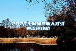 2020年深圳在职人才引进流程攻略