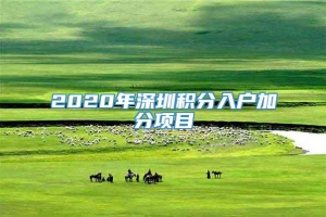 2020年深圳积分入户加分项目