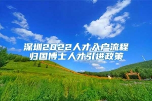 深圳2022人才入户流程归国博士人才引进政策