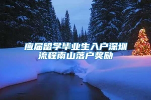 应届留学毕业生入户深圳流程南山落户奖励