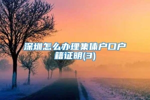 深圳怎么办理集体户口户籍证明(3)