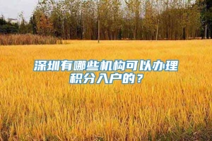 深圳有哪些机构可以办理积分入户的？