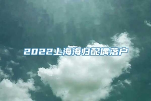 2022上海海归配偶落户