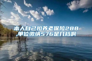 本人自己扣养老保险288,单位缴纳576是几档啊