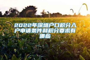 2022年深圳户口积分入户申请条件和积分要求有哪些