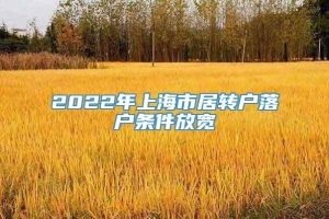 2022年上海市居转户落户条件放宽