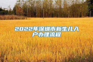 2022年深圳市新生儿入户办理流程