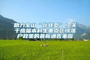 助力宝山“北转型”！关于应届本科生重点区域落户政策的最新通告来啦