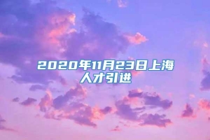 2020年11月23日上海人才引进