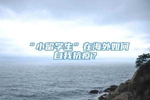 “小留学生”在海外如何自我抗疫？