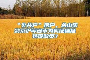 “公共户”落户，从山东到京沪等省市为何陆续推岀这项政策？