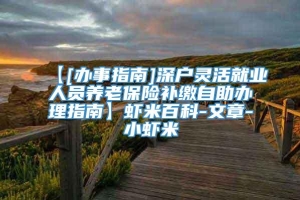 【[办事指南]深户灵活就业人员养老保险补缴自助办理指南】虾米百科-文章-小虾米