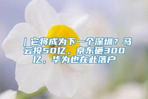 ｜它将成为下一个深圳？马云投50亿，京东砸300亿，华为也在此落户