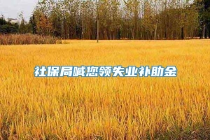 社保局喊您领失业补助金