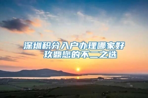 深圳积分入户办理哪家好  玖鼎您的不二之选