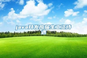 java开发应届生工资待遇