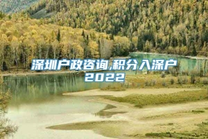 深圳户政咨询,积分入深户2022