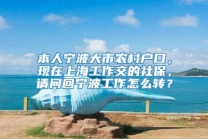 本人宁波大市农村户口，现在上海工作交的社保，请问回宁波工作怎么转？