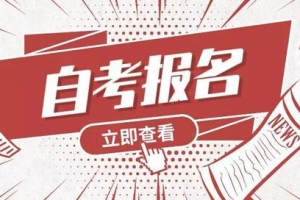 2022年深圳市积分入户非全日制本科可以积多少分