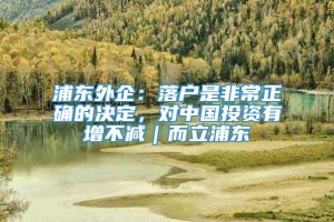 浦东外企：落户是非常正确的决定，对中国投资有增不减｜而立浦东