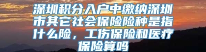 深圳积分入户中缴纳深圳市其它社会保险险种是指什么险，工伤保险和医疗保险算吗