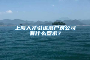 上海人才引进落户对公司有什么要求？