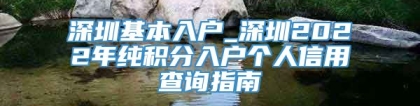 深圳基本入户_深圳2022年纯积分入户个人信用查询指南