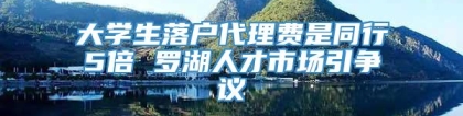 大学生落户代理费是同行5倍 罗湖人才市场引争议