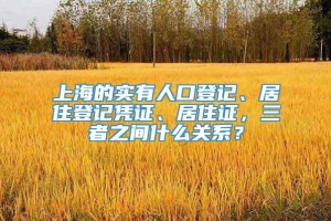 上海的实有人口登记、居住登记凭证、居住证，三者之间什么关系？