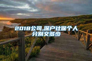 2018公司,深户社保个人分别交多少