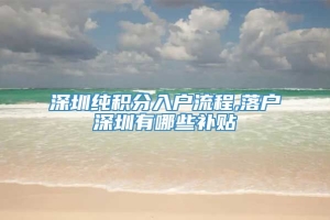 深圳纯积分入户流程,落户深圳有哪些补贴