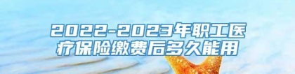 2022-2023年职工医疗保险缴费后多久能用