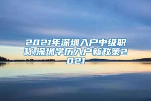 2021年深圳入户中级职称,深圳学历入户新政策2021