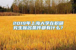 2019年上海大学在职研究生报名条件都有什么？