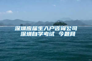 深圳应届生入户咨询公司 深圳自学考试 今题网