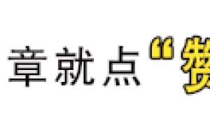 【知识】户口迁移，城乡居民养老保险关系要转吗？