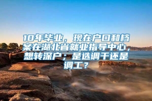 10年毕业，现在户口和档案在湖北省就业指导中心，想转深户；是选调干还是调工？