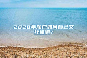 2020年深户如何自己交社保啊？