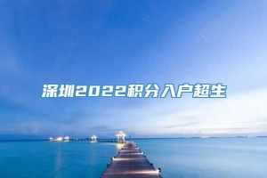 深圳2022积分入户超生