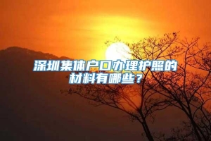 深圳集体户口办理护照的材料有哪些？