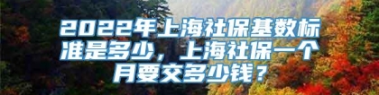 2022年上海社保基数标准是多少，上海社保一个月要交多少钱？