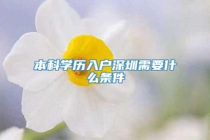 本科学历入户深圳需要什么条件