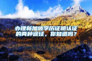 办理新加坡学历证明认证的两种途径，你知道吗？